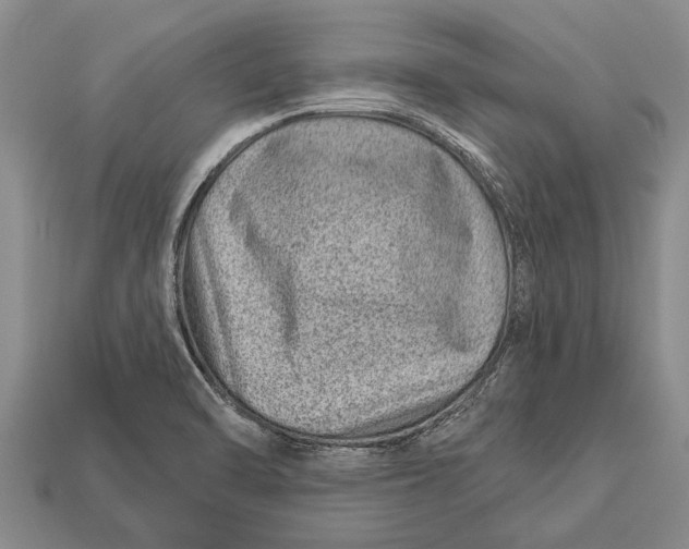 X0000112921470200909211042