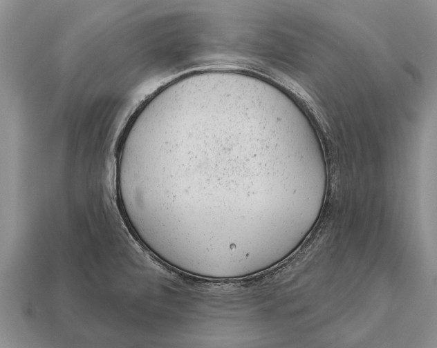 X0000112921472200909211042