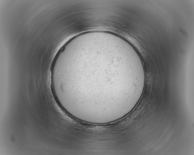 X0000112921476200909211042