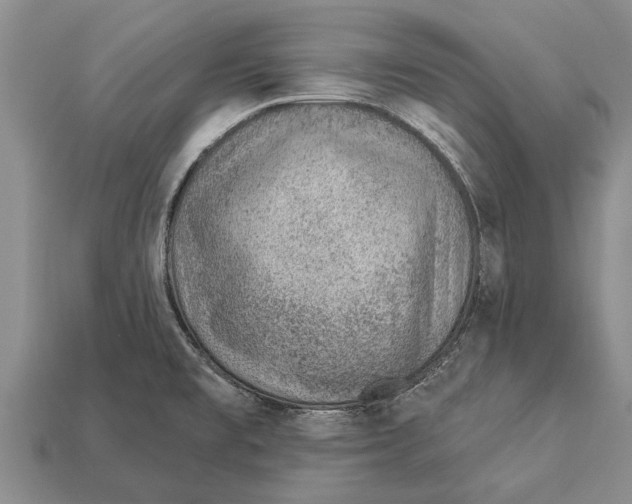 X0000112921477200909211042