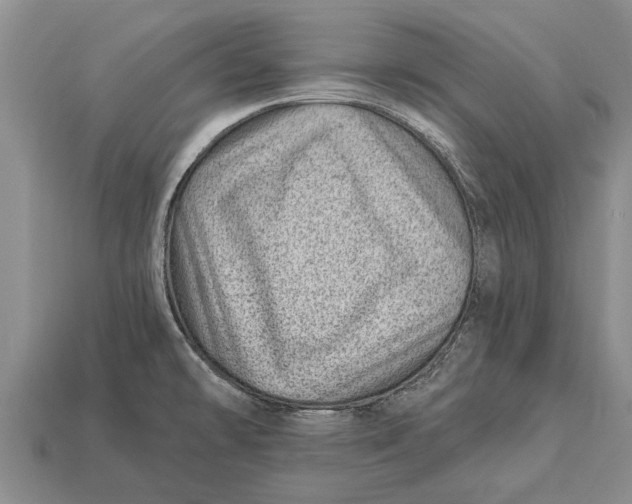 X0000112921478200909211042