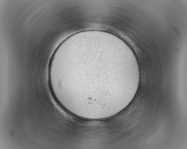 X0000112921479200909211042