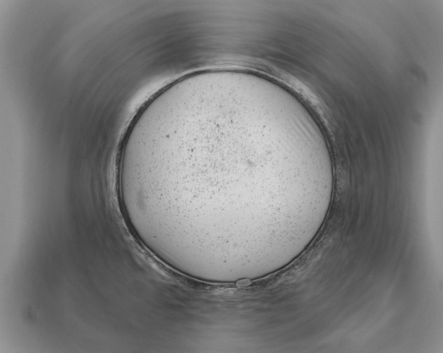 X0000112921480200909211042
