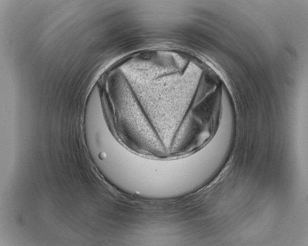 X0000112921481200909211042