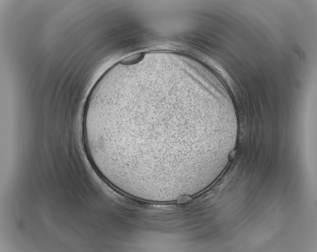 X0000112921483200909211042
