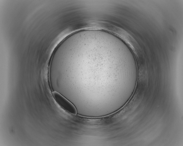 X0000112921484200909211042