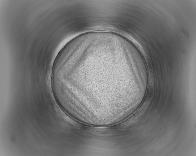 X0000112921486200909211042