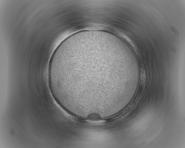 X0000112921487200909211042