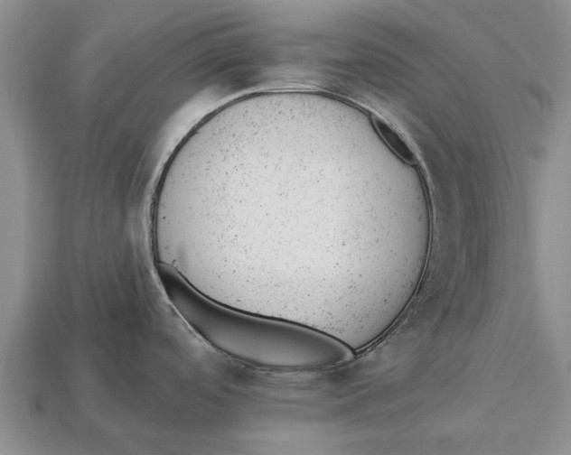 X0000112921488200909211042
