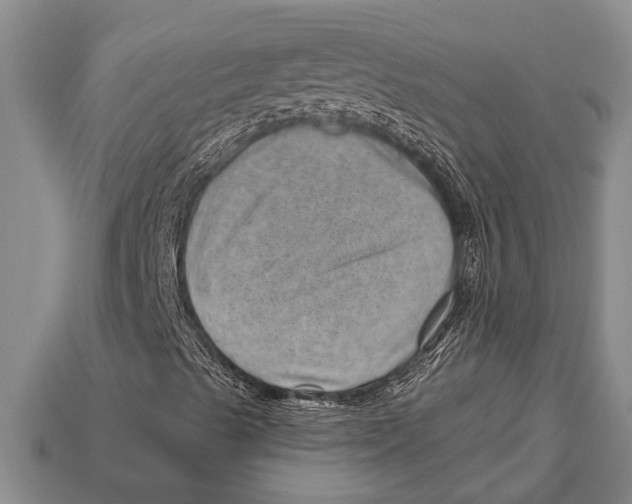 X0000112921489200909211041