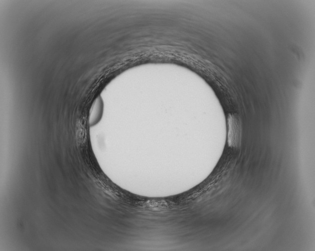 X0000112921491200909211041