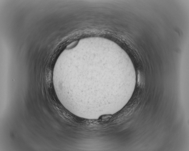 X0000112921492200909211041