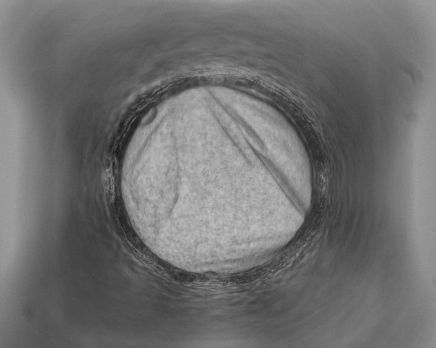 X0000112921493200909211041