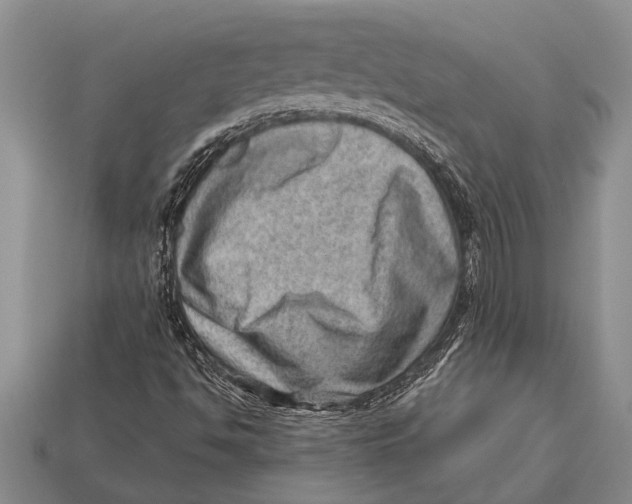 X0000112921494200909211041