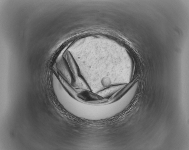 X0000112921496200909211041