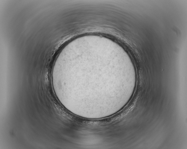 X0000112921497200909211041