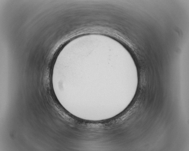 X0000112921498200909211041