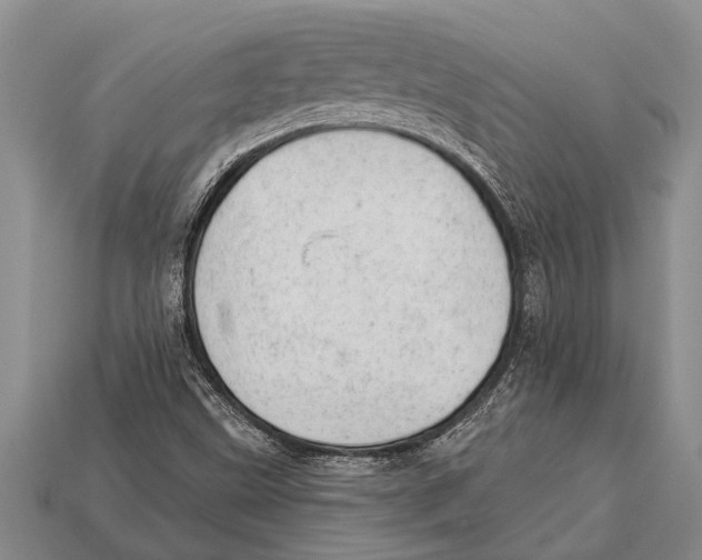 X0000112921499200909211041