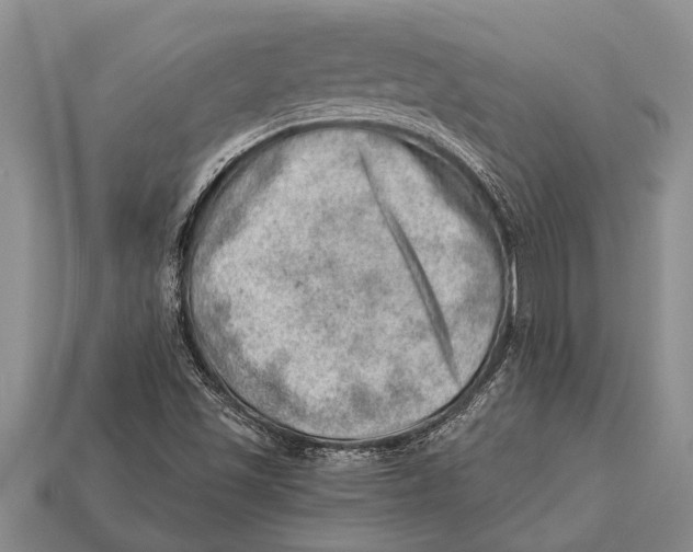 X0000112921501200909211041