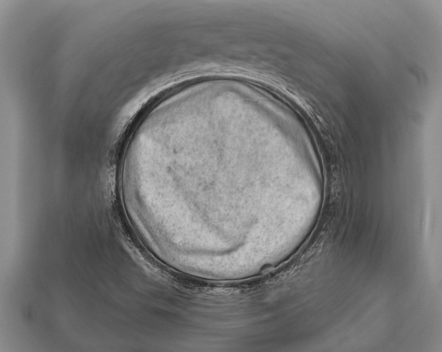 X0000112921503200909211041
