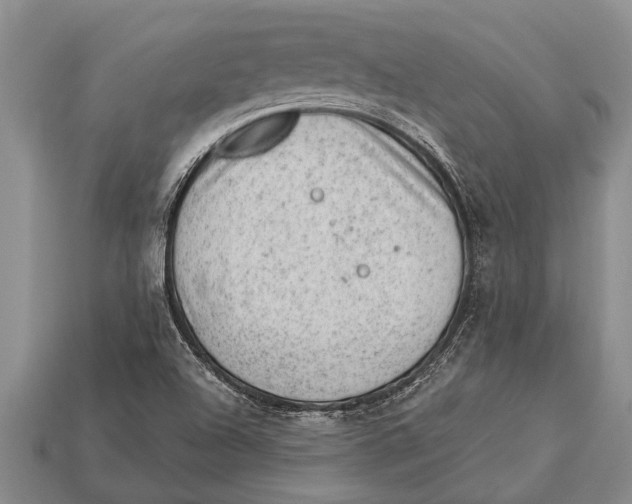 X0000112921504200909211041