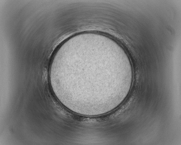 X0000112921505200909211041