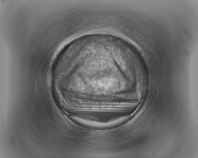 X0000112921506200909211042