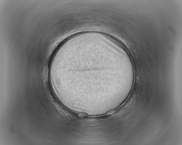X0000112921507200909211042
