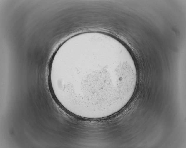 X0000112921508200909211042