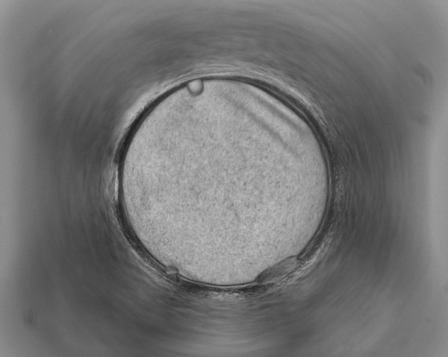 X0000112921509200909211042