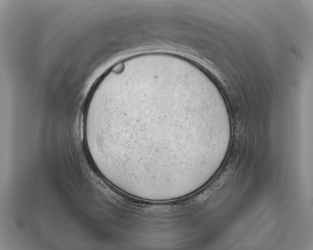 X0000112921510200909211042