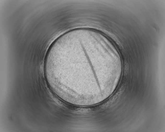 X0000112921513200909211042