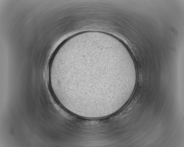X0000112921515200909211042