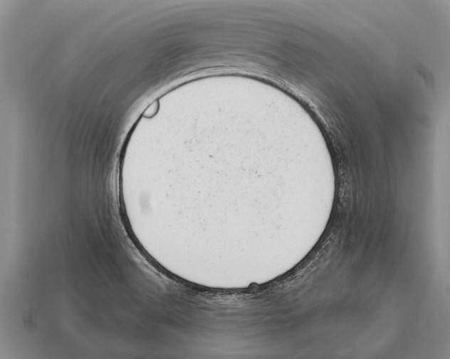 X0000112921516200909211042