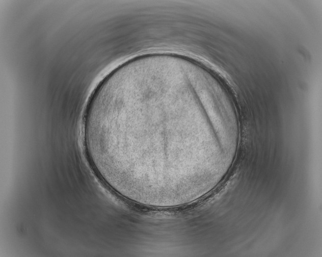 X0000112921517200909211042