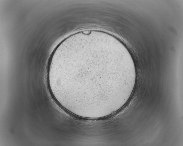 X0000112921518200909211042