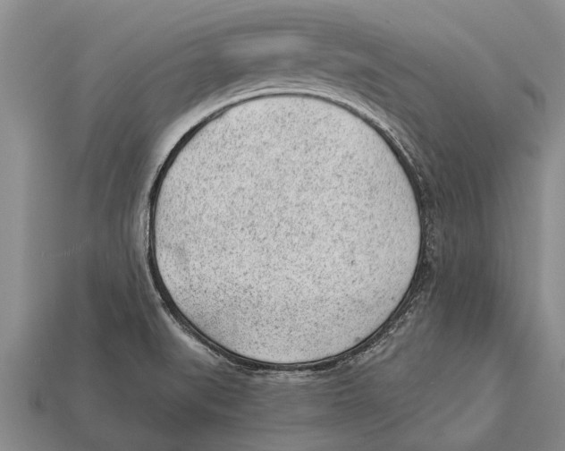 X0000112921519200909211042