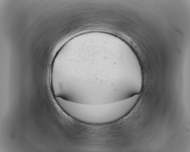 X0000112921520200909211042