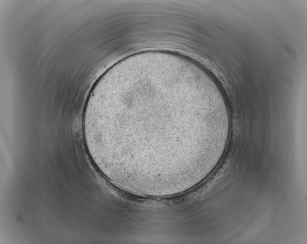 X0000112921521200909211042