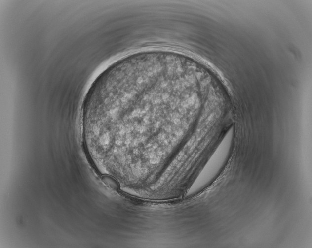 X0000112921522200909211042