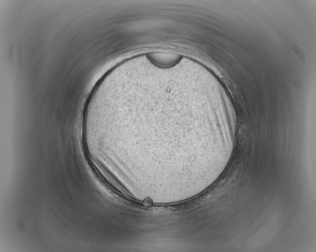 X0000112921523200909211042