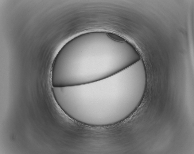 X0000112921524200909211042
