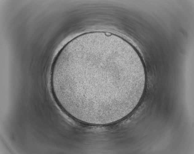 X0000112921525200909211042