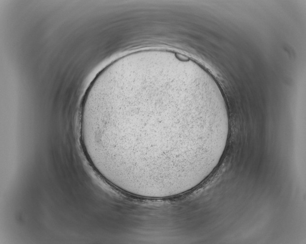 X0000112921526200909211042