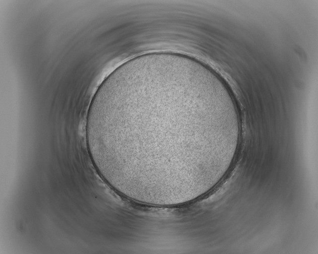 X0000112921529200909211042