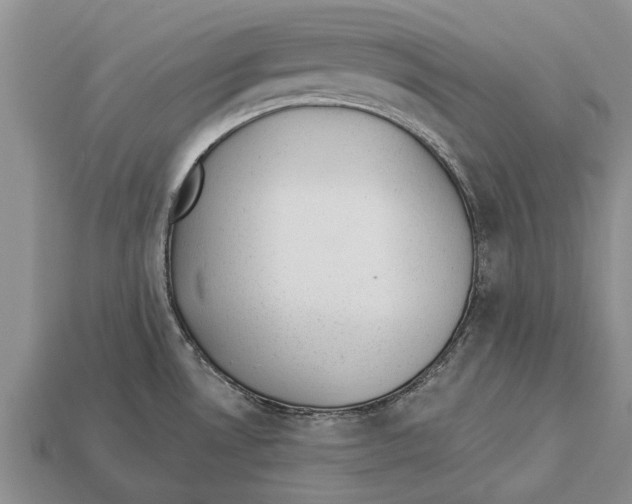 X0000112921530200909211042