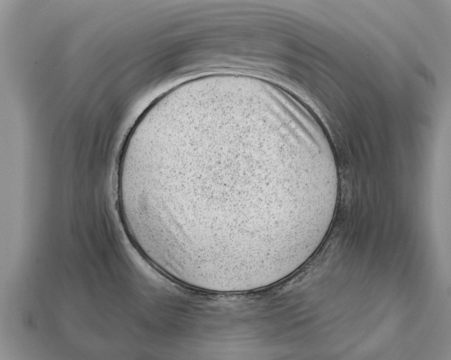 X0000112921531200909211042
