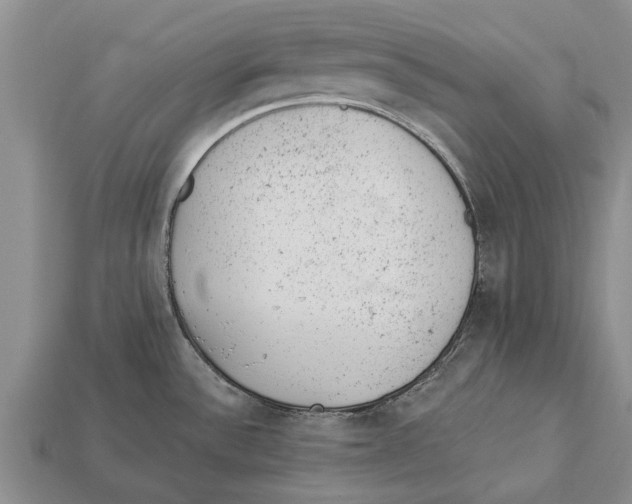 X0000112921532200909211042