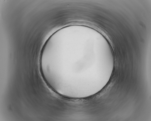 X0000112921533200909211042