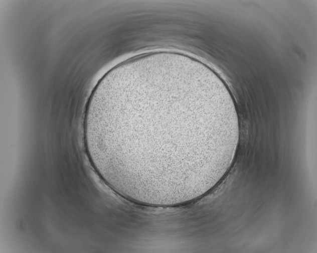 X0000112921534200909211042